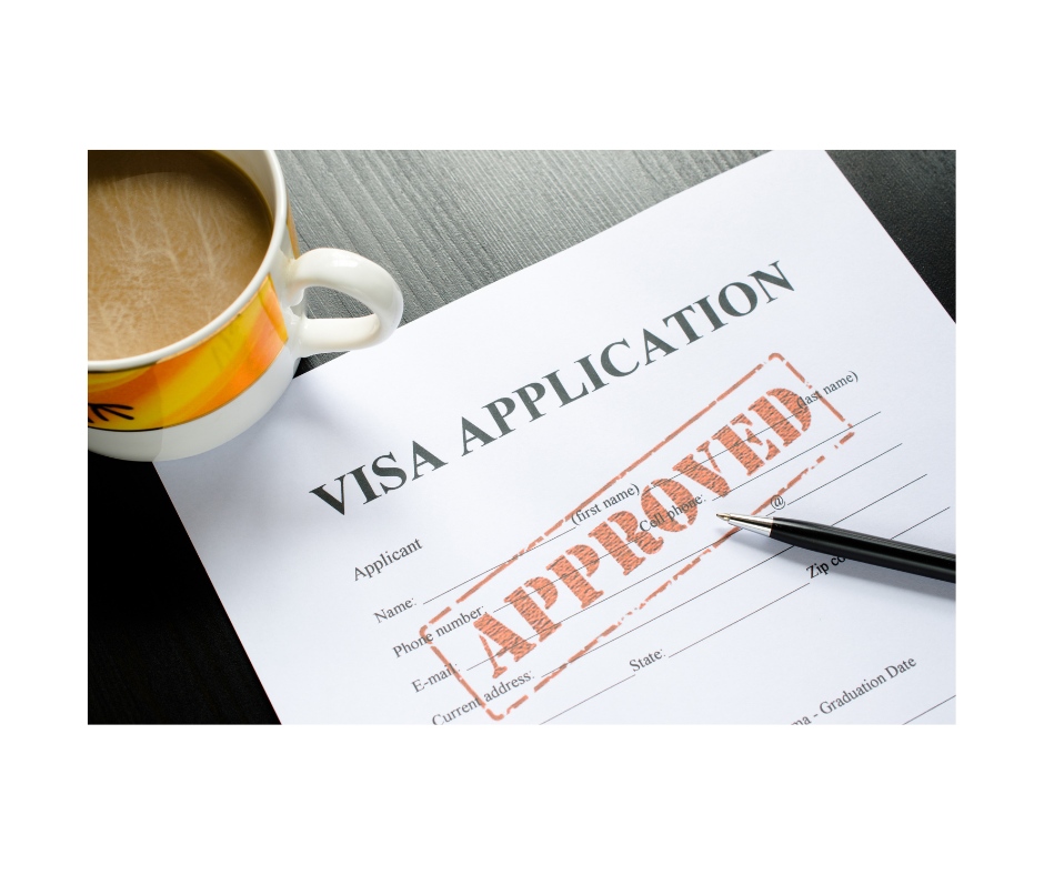 VISA APPLICATION