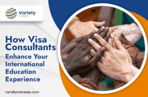 Visa Consultants